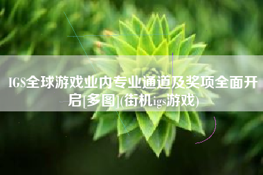 IGS全球游戏业内专业通道及奖项全面开启[多图](街机igs游戏)