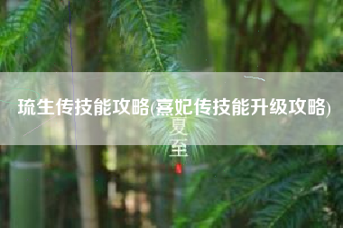 琉生传技能攻略(熹妃传技能升级攻略)