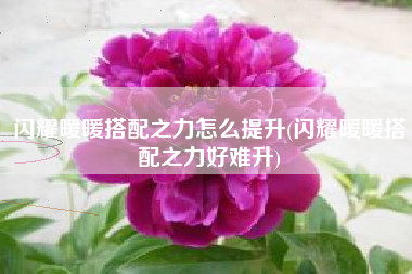 闪耀暖暖搭配之力怎么提升(闪耀暖暖搭配之力好难升)