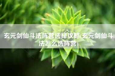 玄元剑仙斗法阵营选择攻略(玄元剑仙斗法怎么选阵营)