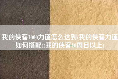 我的侠客1000力道怎么达到(我的侠客力道如何搭配)(我的侠客10周目以上)