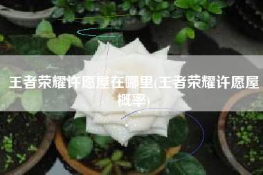 王者荣耀许愿屋在哪里(王者荣耀许愿屋概率)