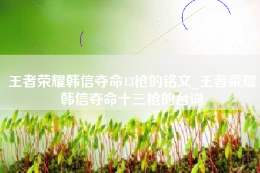 王者荣耀韩信夺命13枪的铭文_王者荣耀韩信夺命十三枪的台词