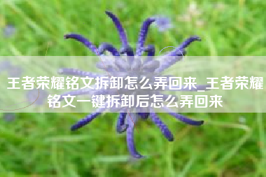 王者荣耀铭文拆卸怎么弄回来_王者荣耀铭文一键拆卸后怎么弄回来