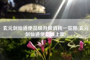 玄元剑仙道使品级升级消耗一览图(玄元剑仙道使品级上限)