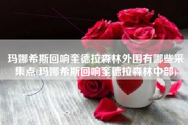 玛娜希斯回响奎德拉森林外围有哪些采集点(玛娜希斯回响奎德拉森林中部)