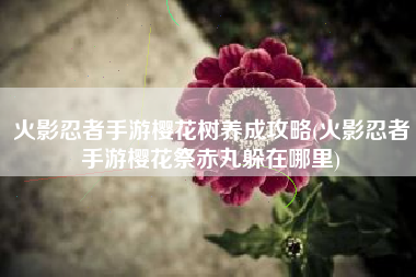 火影忍者手游樱花树养成攻略(火影忍者手游樱花祭赤丸躲在哪里)