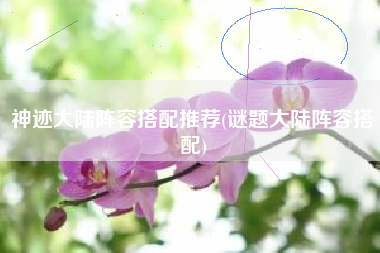 神迹大陆阵容搭配推荐(谜题大陆阵容搭配)