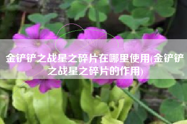 金铲铲之战星之碎片在哪里使用(金铲铲之战星之碎片的作用)