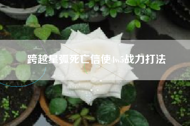 跨越星弧死亡信使4w5战力打法