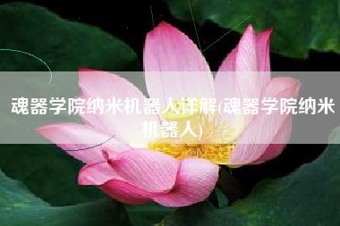 魂器学院纳米机器人详解(魂器学院纳米机器人)