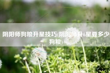 阴阳师狗粮升星技巧(阴阳师升6星要多少狗粮)