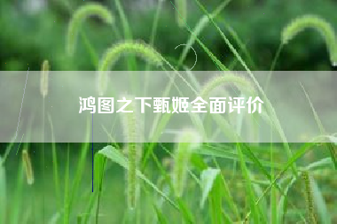 鸿图之下甄姬全面评价