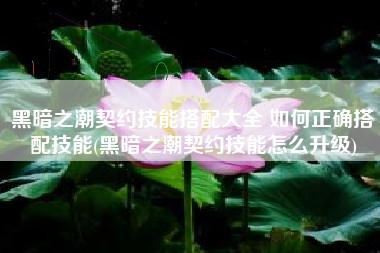 黑暗之潮契约技能搭配大全 如何正确搭配技能(黑暗之潮契约技能怎么升级)