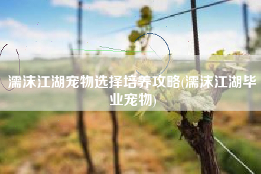濡沫江湖宠物选择培养攻略(濡沫江湖毕业宠物)