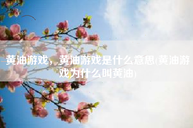 黄油游戏，黄油游戏是什么意思(黄油游戏为什么叫黄油)