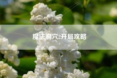 魔法洞穴2开局攻略