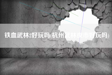铁血武林2好玩吗(杭州武林夜市好玩吗)