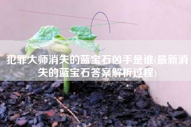 犯罪大师消失的蓝宝石凶手是谁(最新消失的蓝宝石答案解析过程)