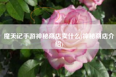 魔天记手游神秘商店卖什么(神秘商店介绍)