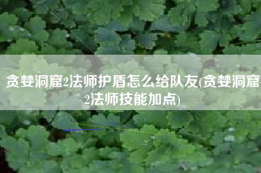 贪婪洞窟2法师护盾怎么给队友(贪婪洞窟2法师技能加点)