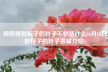 阴阳师包粽子的叶子不包括什么(6月18日包粽子的叶子答案介绍)