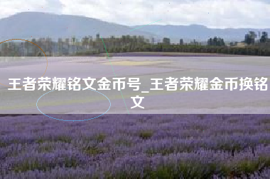 王者荣耀铭文金币号_王者荣耀金币换铭文