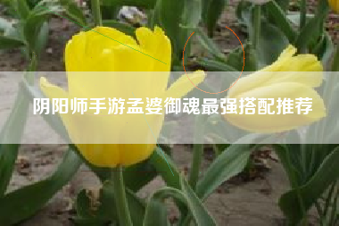 阴阳师手游孟婆御魂最强搭配推荐