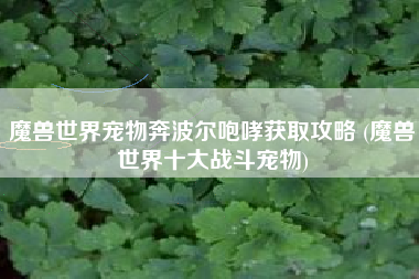 魔兽世界宠物奔波尔咆哮获取攻略 (魔兽世界十大战斗宠物)