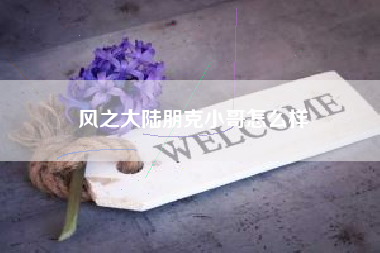 风之大陆朋克小哥怎么样
