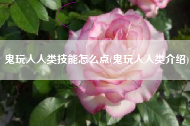 鬼玩人人类技能怎么点(鬼玩人人类介绍)