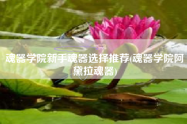 魂器学院新手魂器选择推荐(魂器学院阿黛拉魂器)