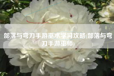 部落与弯刀手游巫术学习攻略(部落与弯刀手游巫师)
