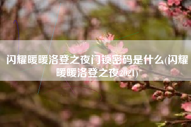 闪耀暖暖洛登之夜门锁密码是什么(闪耀暖暖洛登之夜2021)