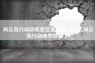 风云岛行动训练营位置在哪(为什么风云岛行动突然停服了)