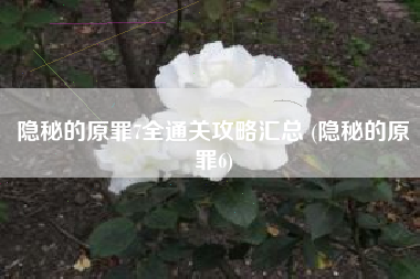 隐秘的原罪7全通关攻略汇总 (隐秘的原罪6)