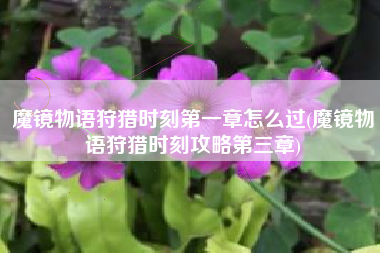 魔镜物语狩猎时刻第一章怎么过(魔镜物语狩猎时刻攻略第三章)