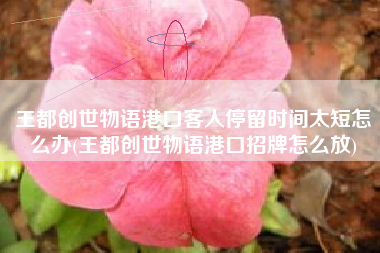 王都创世物语港口客人停留时间太短怎么办(王都创世物语港口招牌怎么放)