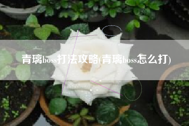 青璃boss打法攻略(青璃boss怎么打)