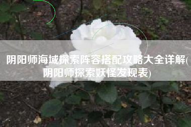 阴阳师海域探索阵容搭配攻略大全详解(阴阳师探索妖怪发现表)
