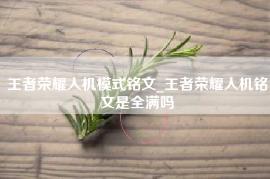 王者荣耀人机模式铭文_王者荣耀人机铭文是全满吗
