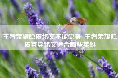 王者荣耀隐匿铭文不能隐身_王者荣耀隐匿百穿铭文适合哪些英雄