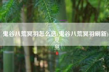 鬼谷八荒冥羽怎么选(鬼谷八荒冥羽刷新)