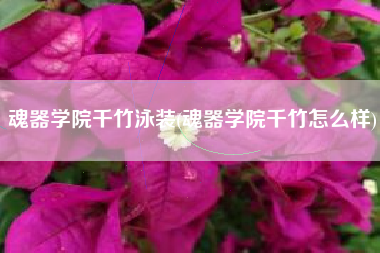魂器学院千竹泳装(魂器学院千竹怎么样)
