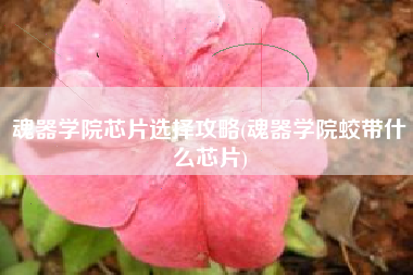 魂器学院芯片选择攻略(魂器学院蛟带什么芯片)