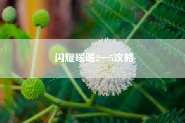 闪耀暖暖2—5攻略