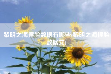 黎明之海捏脸数据有哪些(黎明之海捏脸数据女)