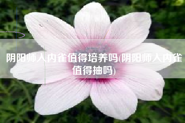 阴阳师入内雀值得培养吗(阴阳师入内雀值得抽吗)