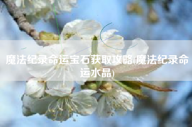 魔法纪录命运宝石获取攻略(魔法纪录命运水晶)