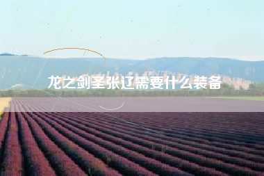 龙之剑圣张辽需要什么装备